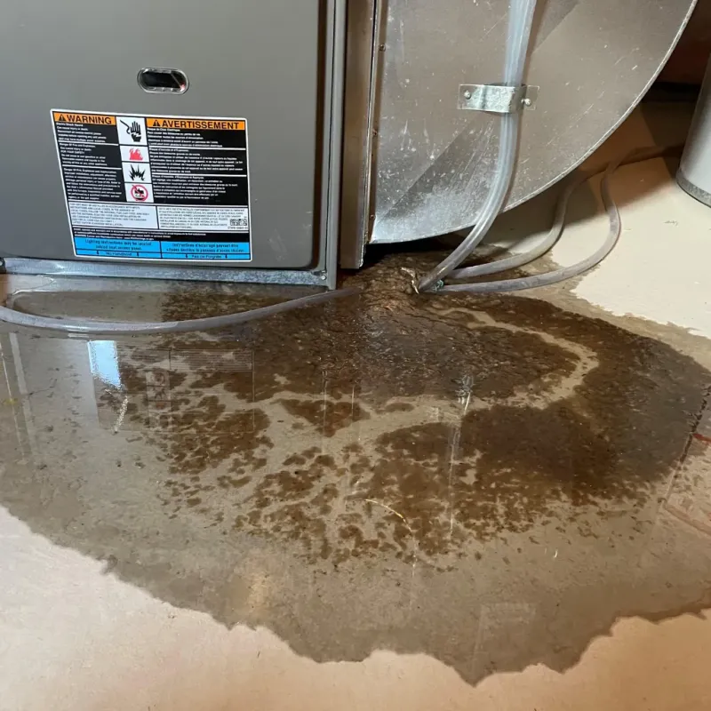 Appliance Leak Cleanup in Sparta, MI